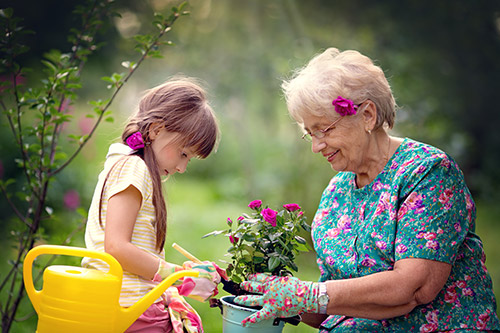 Spring Activity Recommendations for you and Your Senior Loved One - Athens, GA