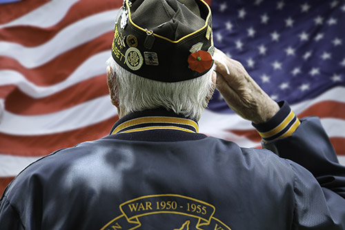 Preparing Your Senior Loved One for Memorial Day - Athens, GA